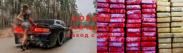 прущие грибы Абинск