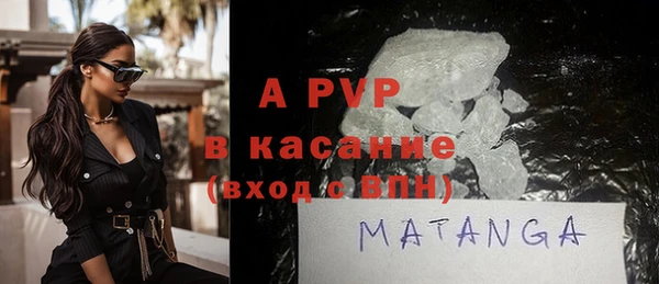 прущие грибы Абинск