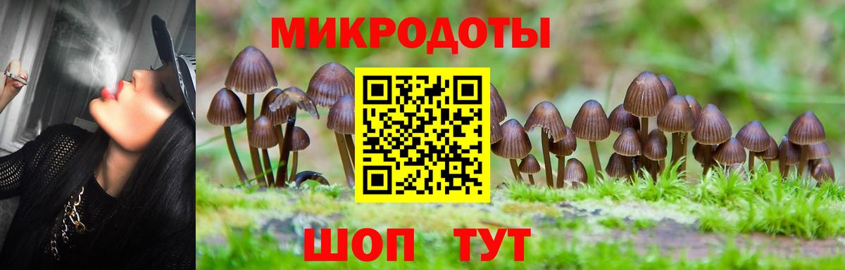 что такое наркотик  Вход с VPN  Татарск  Галлюциногенные грибы Magic Shrooms  Галлюциногенные грибы мухоморы 