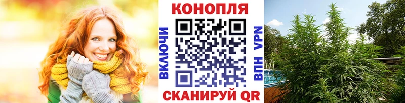 где купить наркоту  Татарск  Шишки марихуана марихуана 